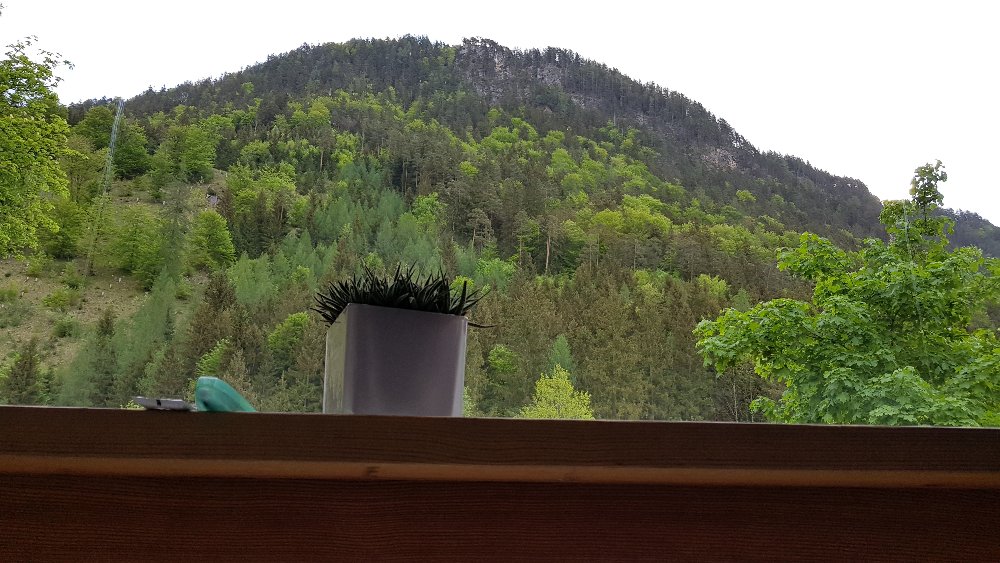 20180430_065853.jpg