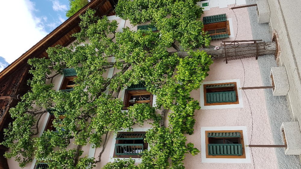 20180430_125028.jpg