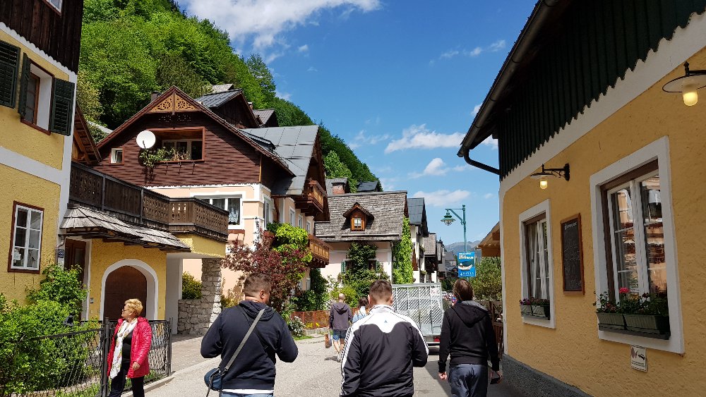 20180430_124950.jpg