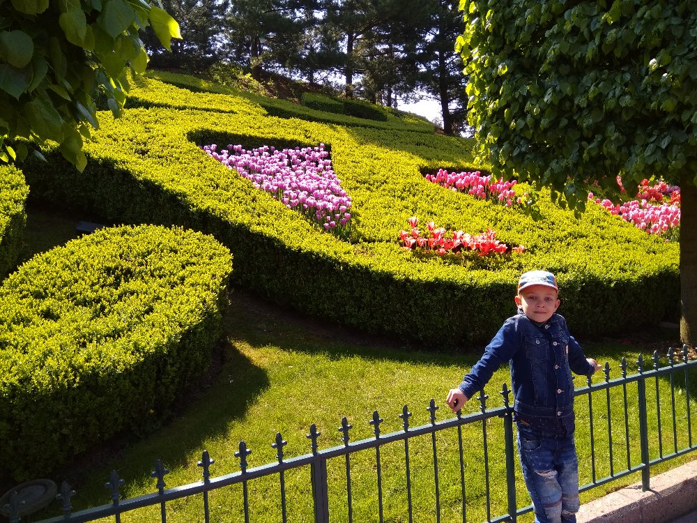 IMG_20180504_114948.jpg