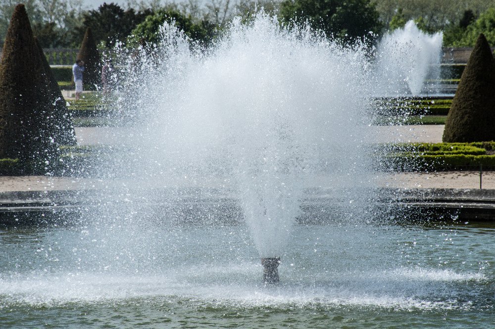 20180505-20180505-_DSC0737.jpg