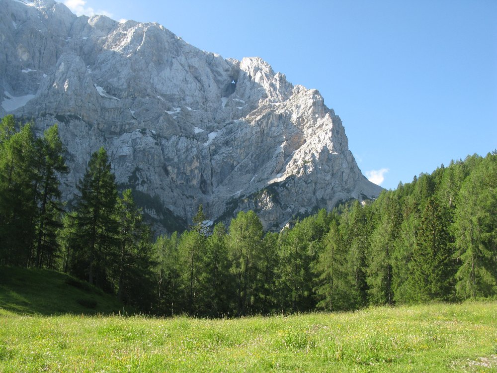 IMG_4999.JPG