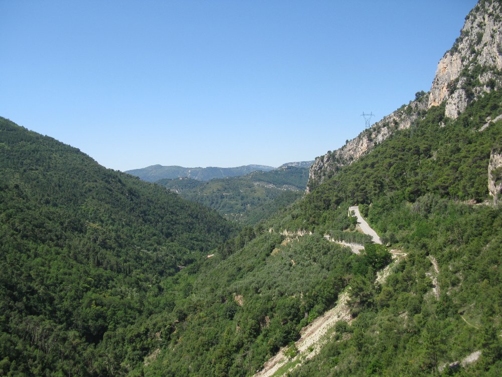 IMG_5247.JPG