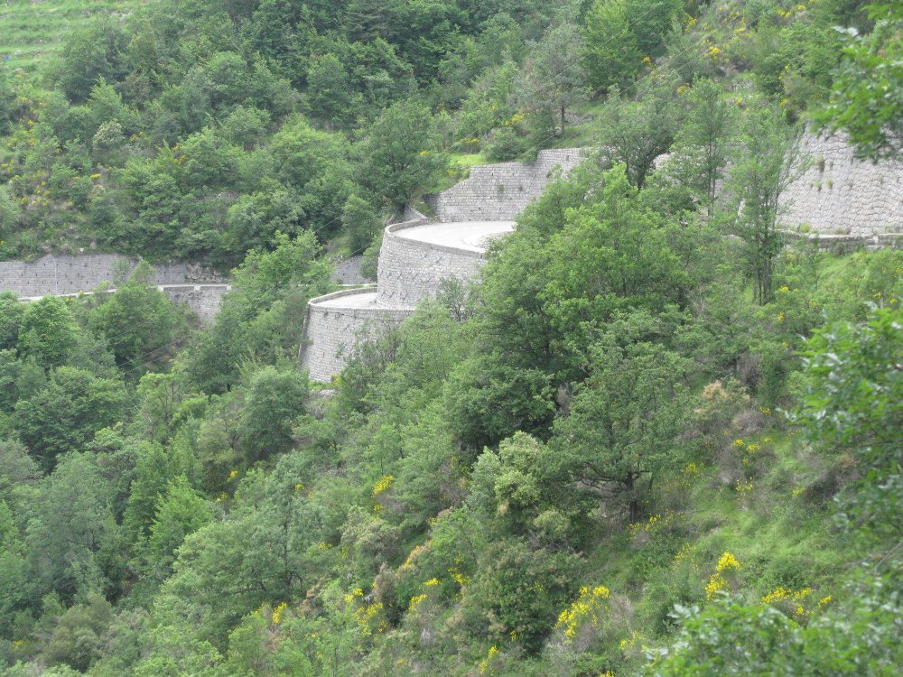 IMG_5285.JPG