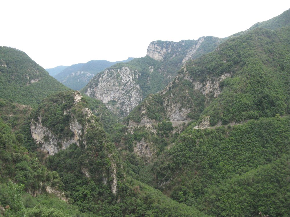 IMG_5286.JPG