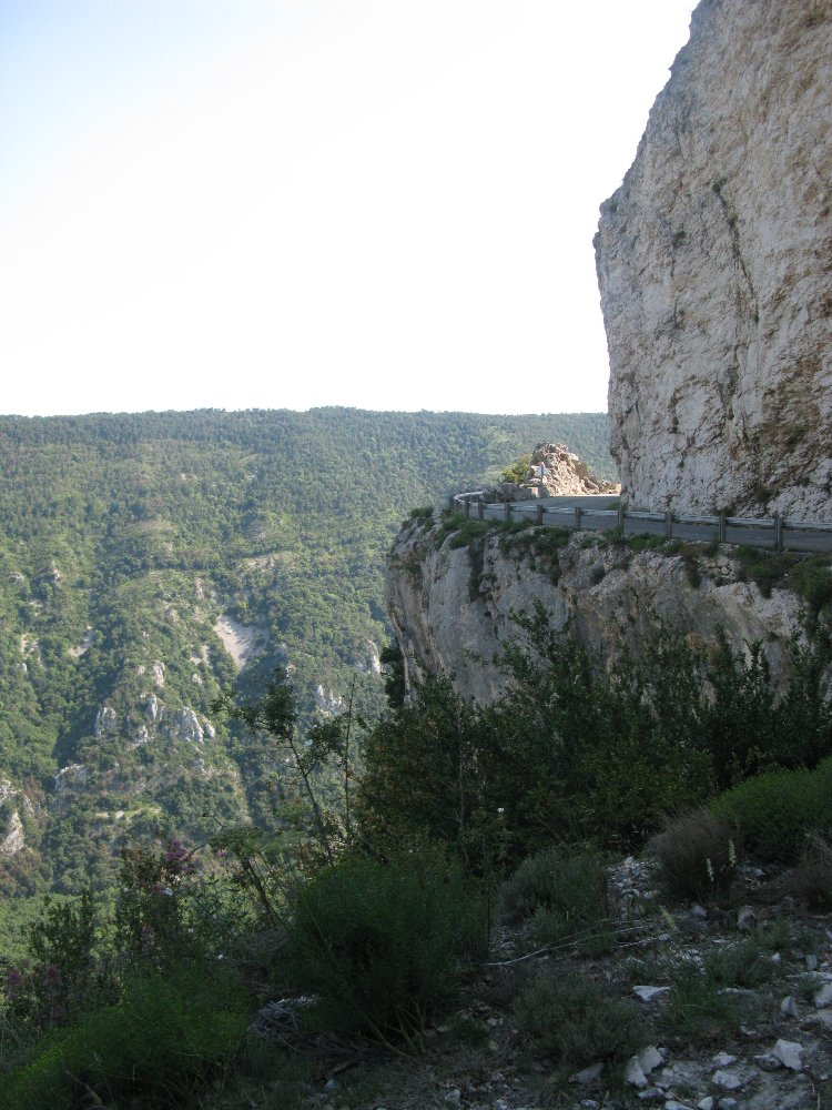 IMG_5384.JPG