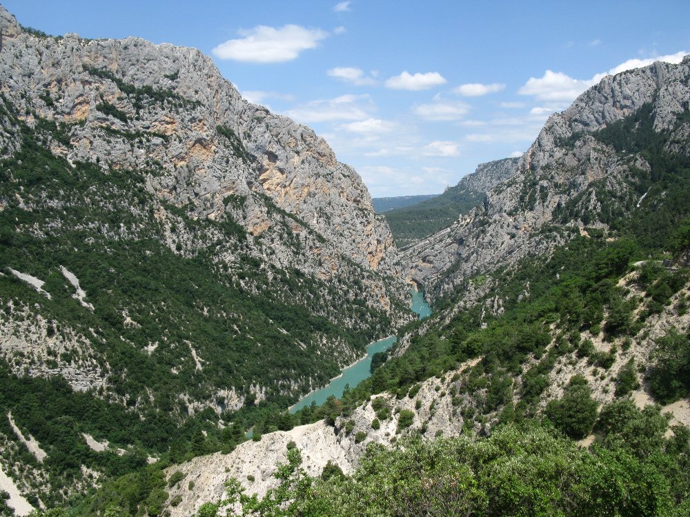 IMG_5478.JPG