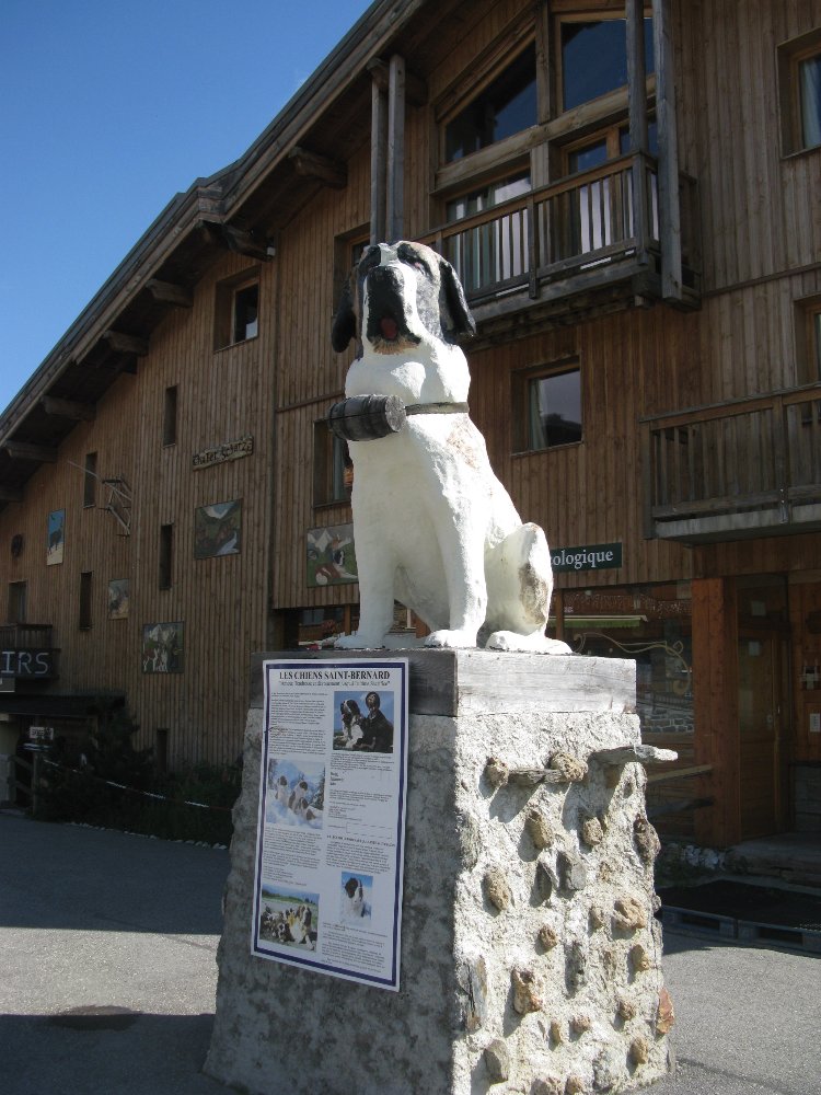 IMG_5594.JPG