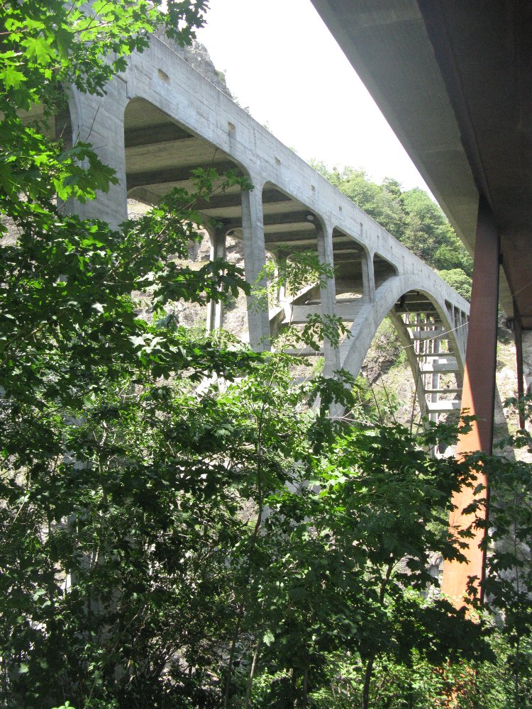 IMG_5768.JPG