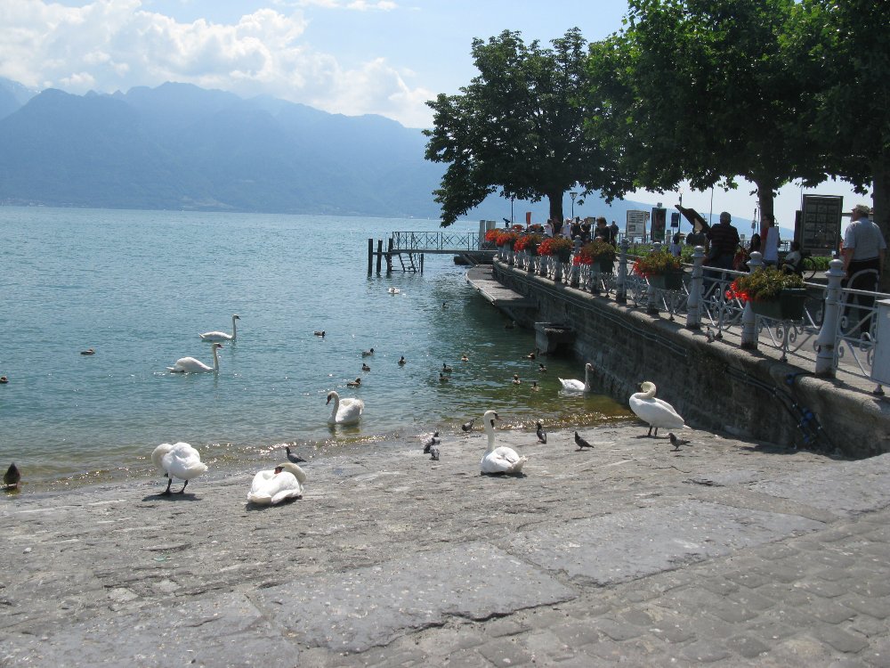 IMG_5796.JPG