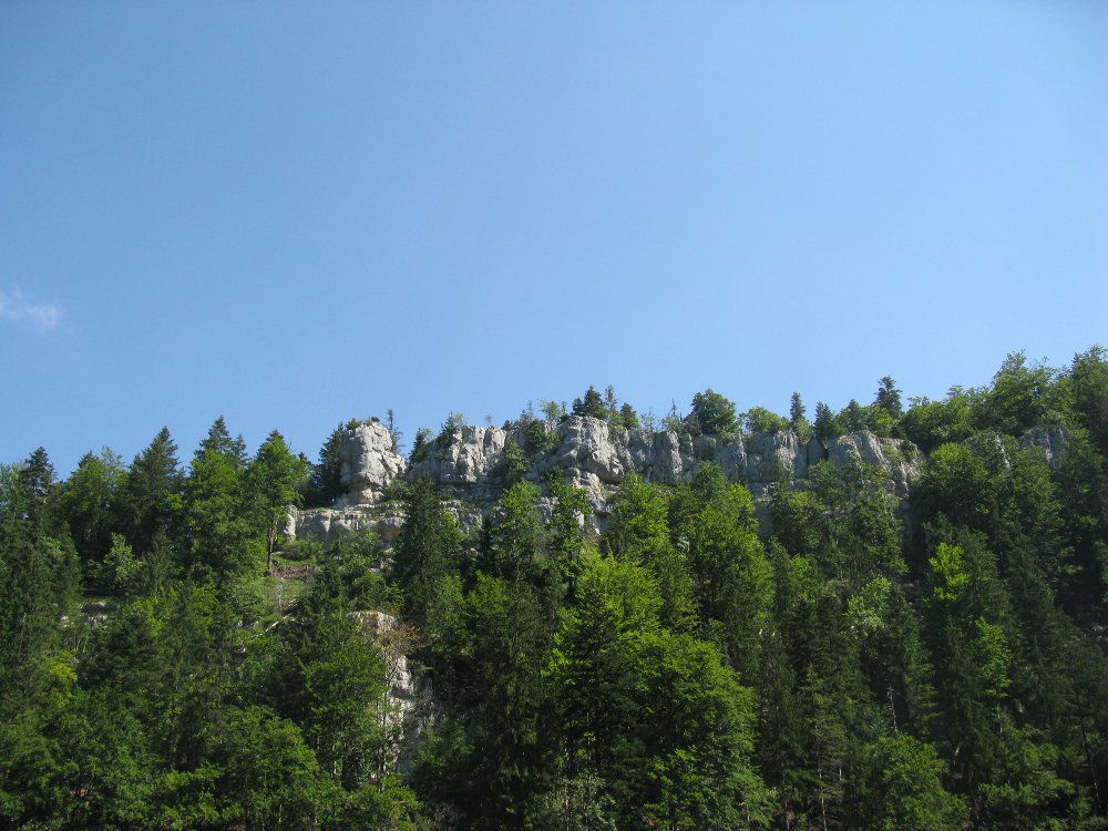IMG_5875.JPG