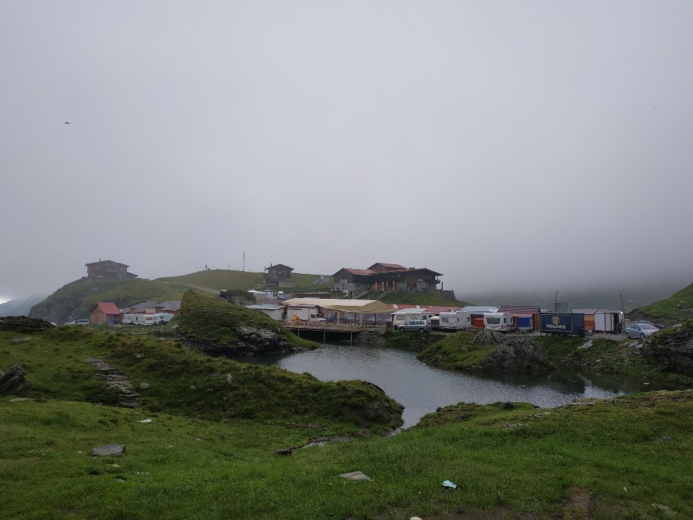 IMG_20180716_092931.jpg