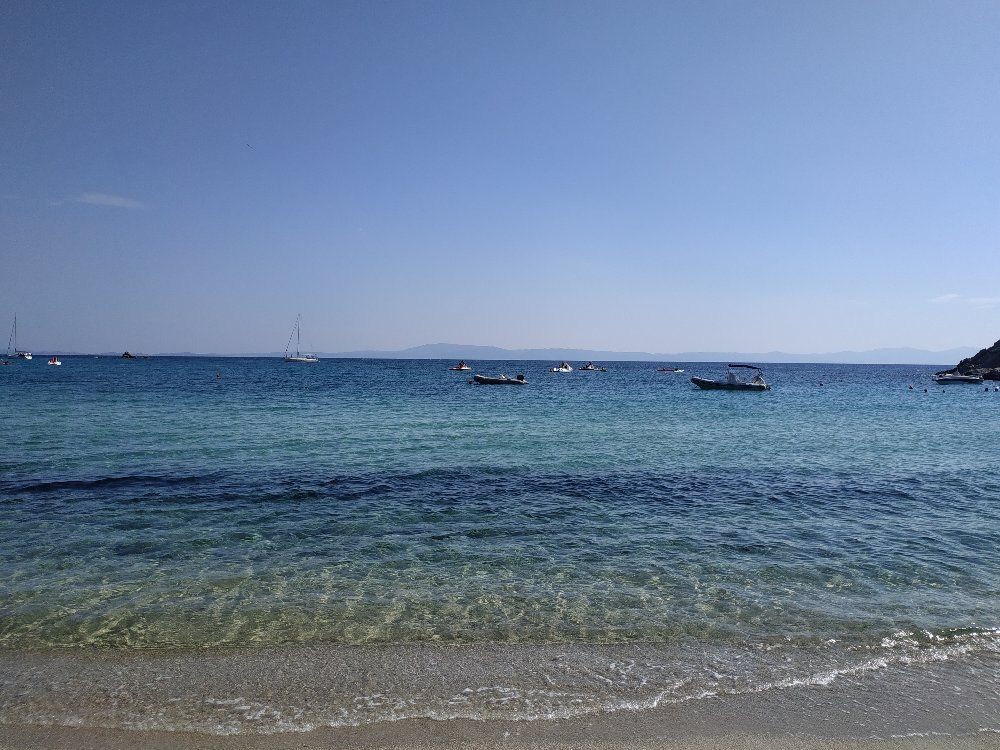 IMG_20180718_101254.jpg