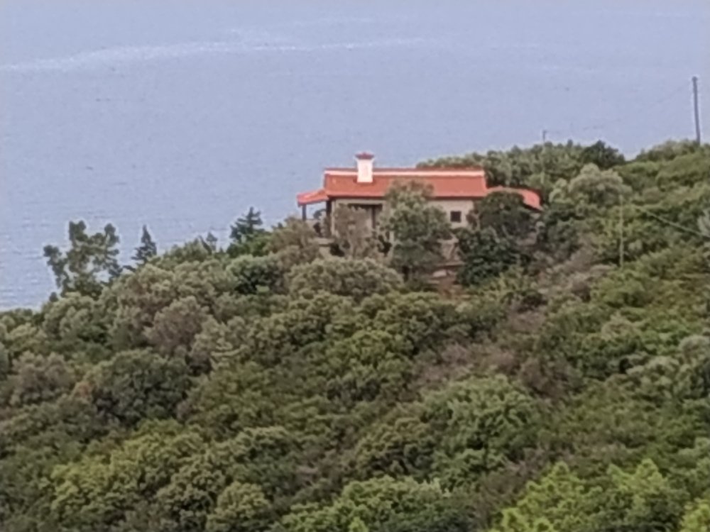 IMG_20180725_190224.jpg