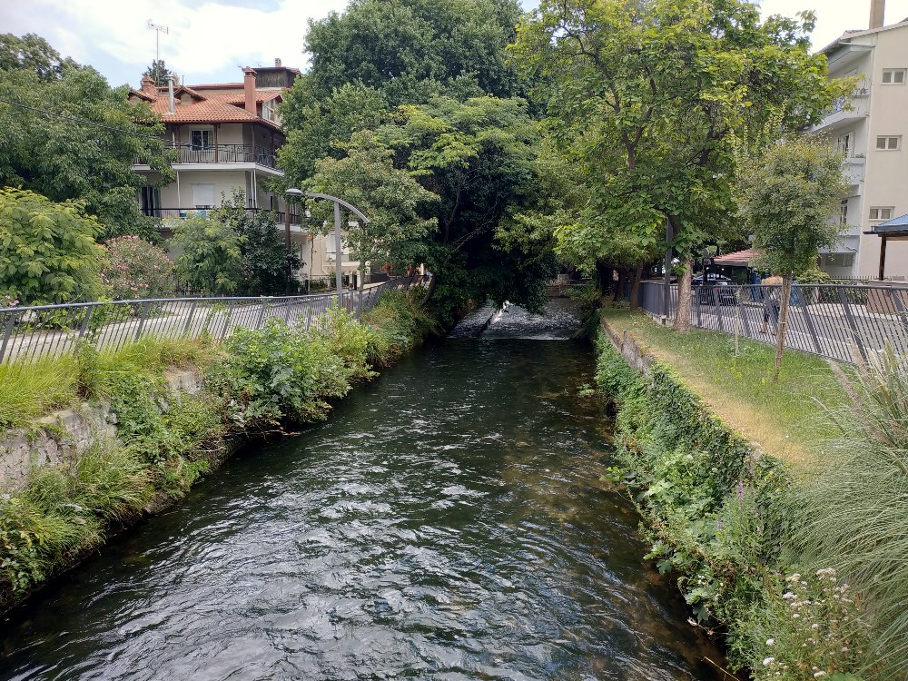 IMG_20180723_145737.jpg