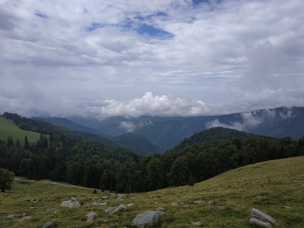 IMG_20180728_105455.jpg