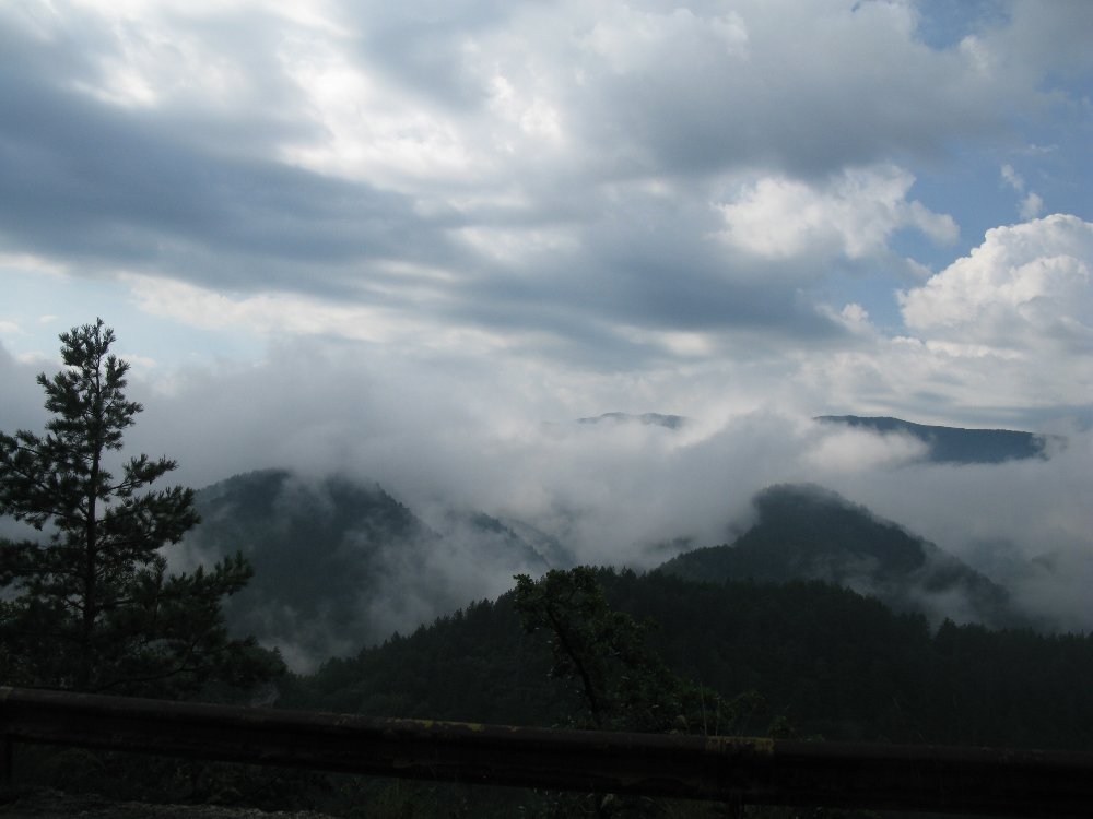 IMG_6351.JPG
