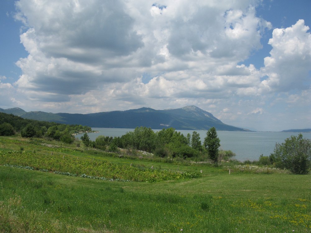 IMG_6377.JPG