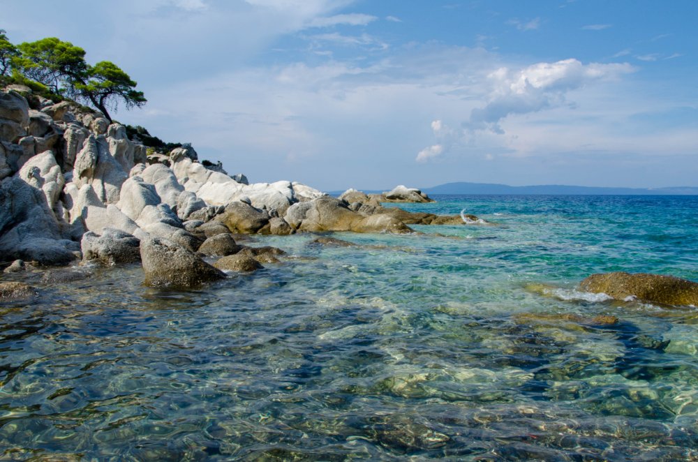 DSC_0028.jpg