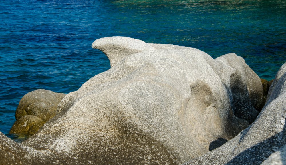 DSC_0030.jpg