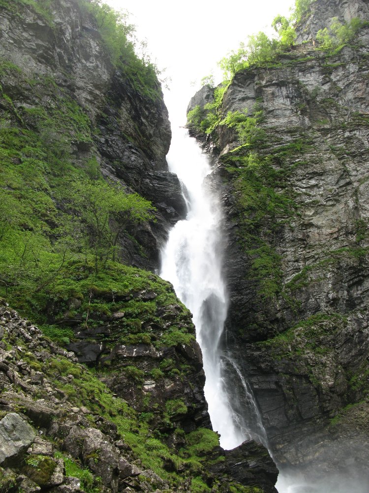 IMG_3407.JPG