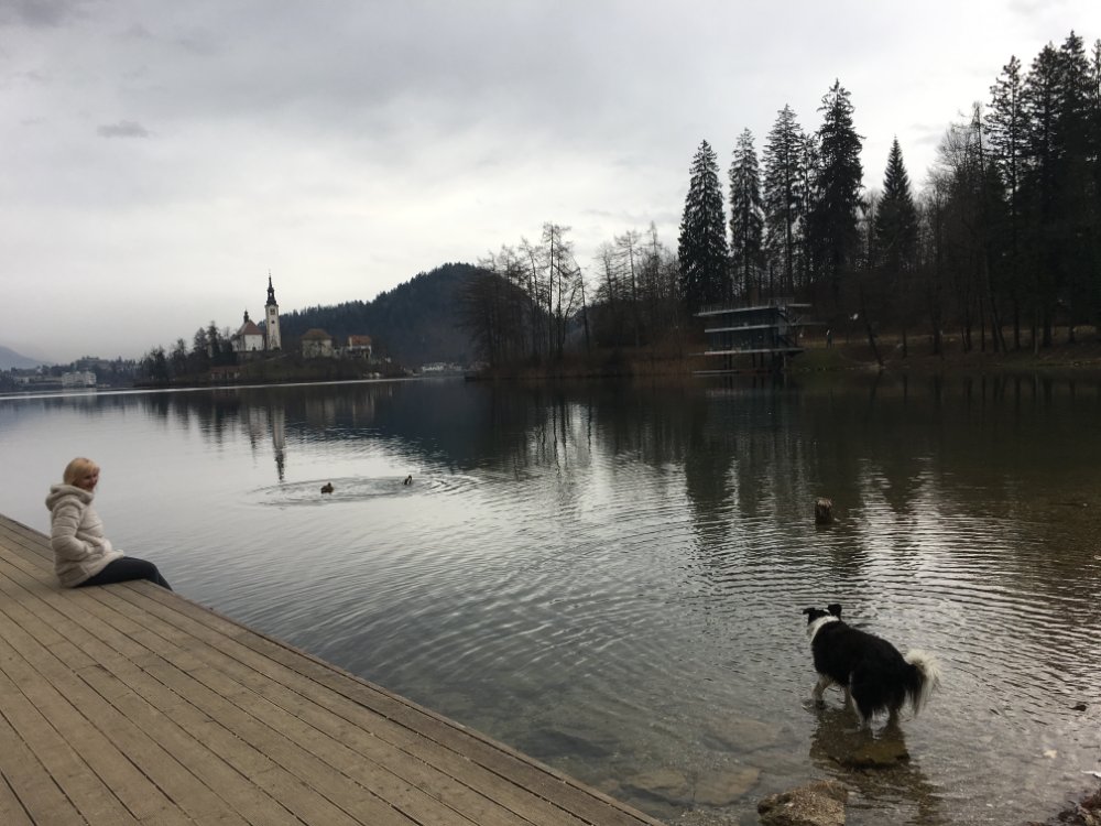 2019.01.08_11.54.41.JPG