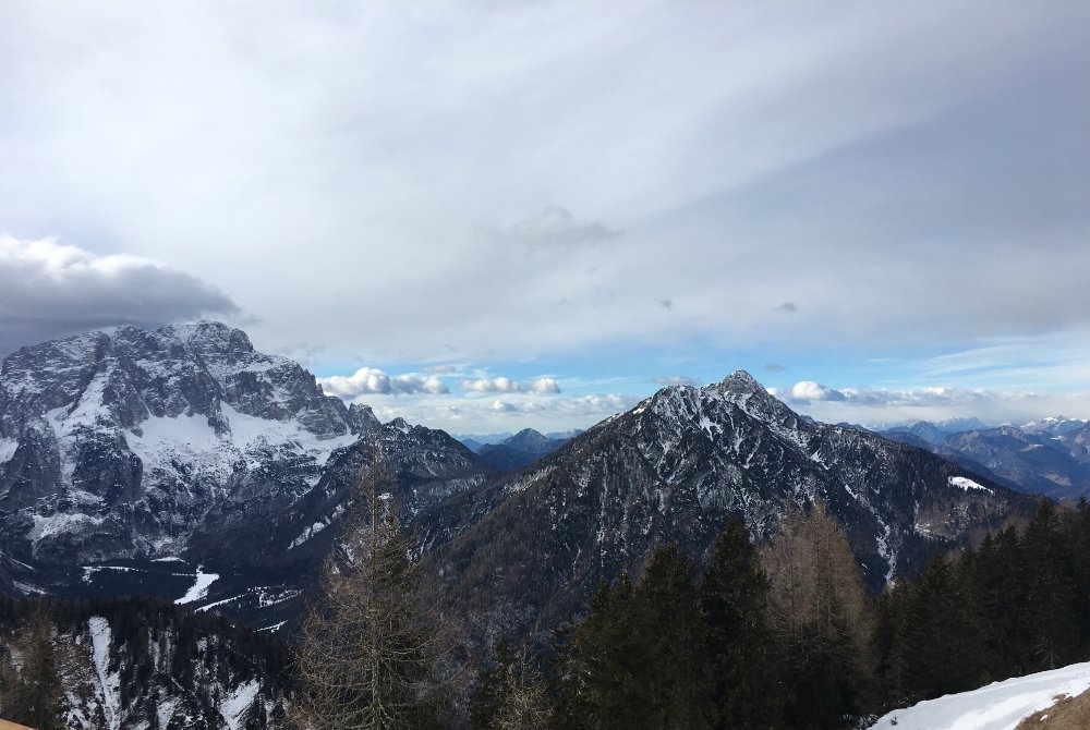2019.01.10_11.47.45.JPG