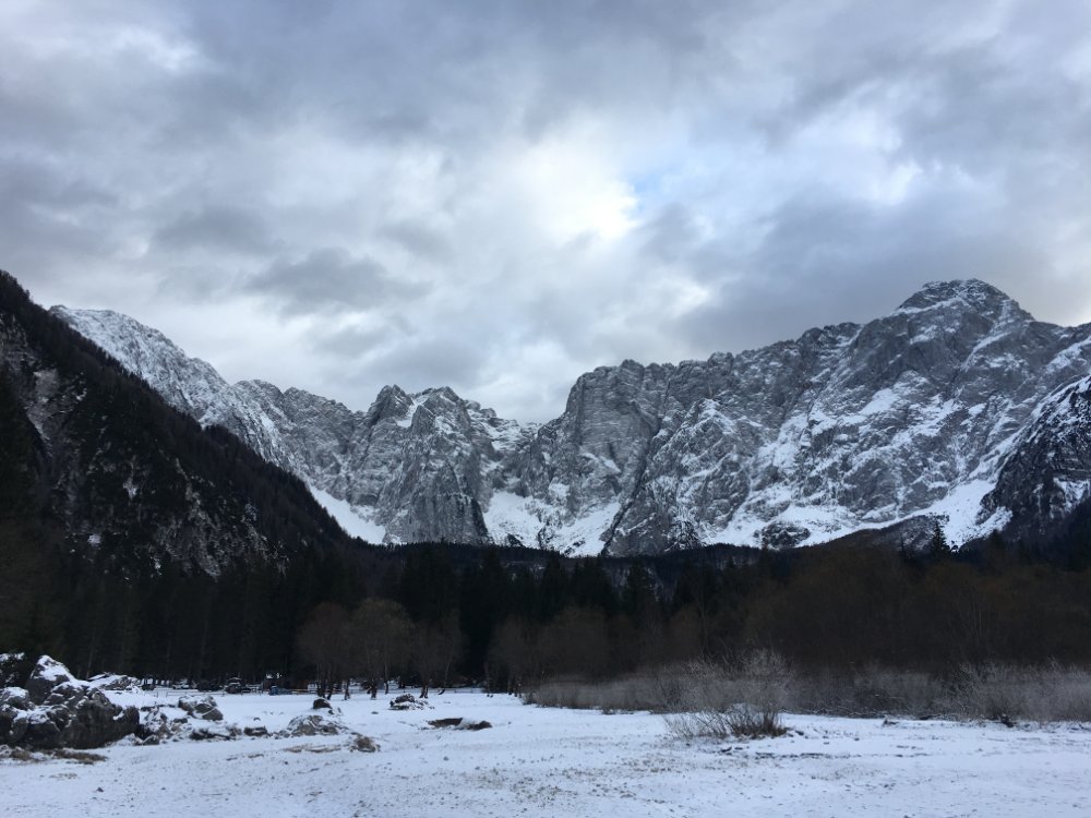 2019.01.10_15.17.21.JPG