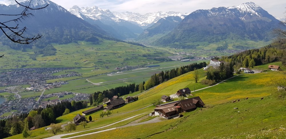 20190502_100902.jpg