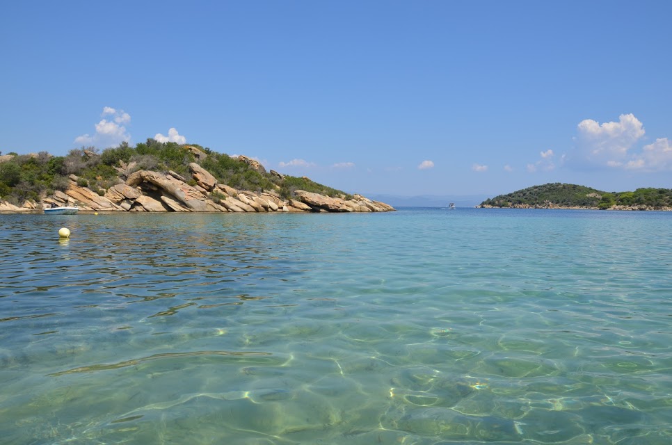 DSC_0428.JPG