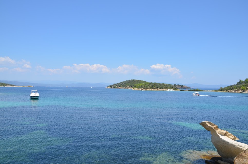DSC_0482.JPG