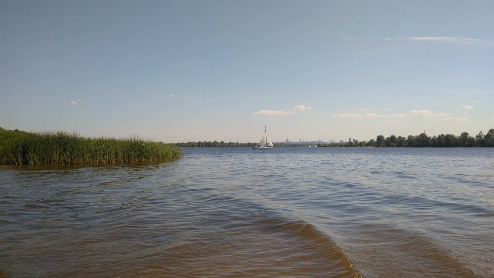 IMG_20190601_155926.jpg