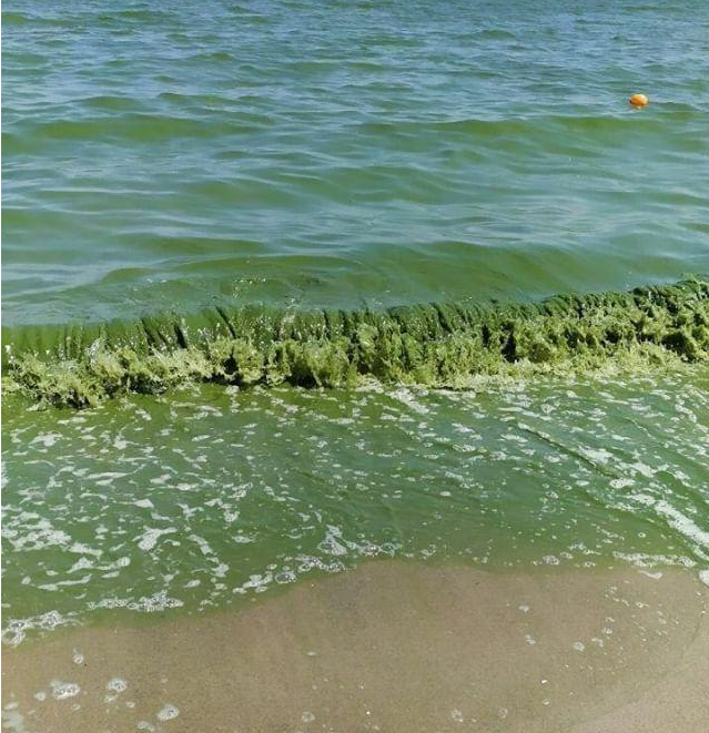 Black sea.png