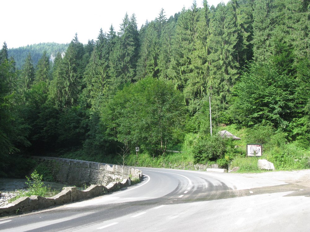050.JPG