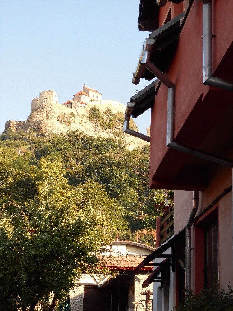 100.JPG