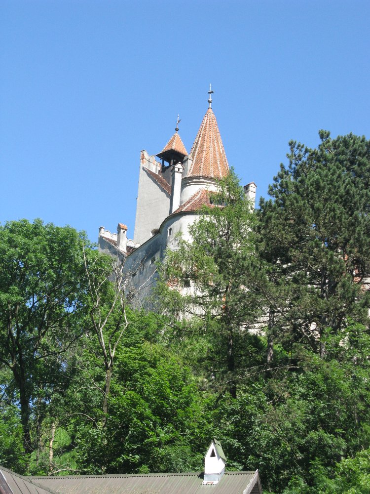 164.JPG