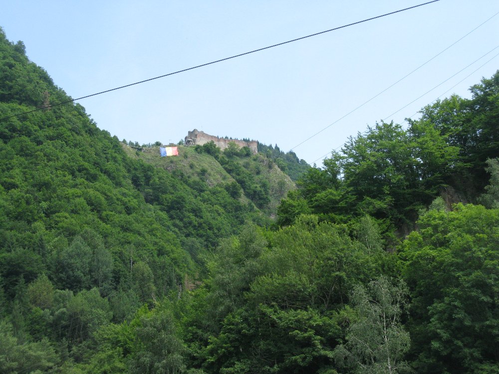 204.JPG