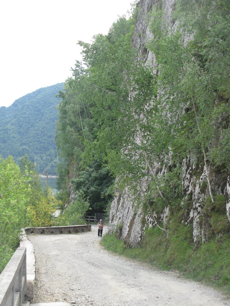 206.JPG