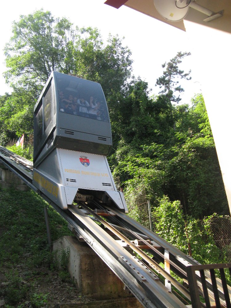 282.JPG