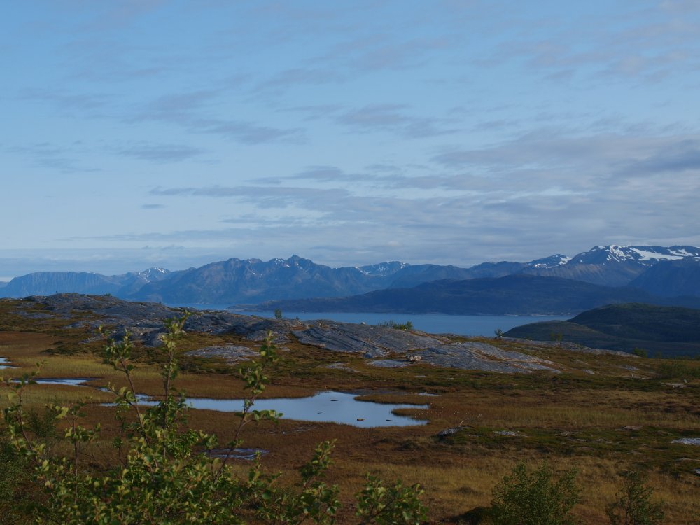 P8092501.JPG