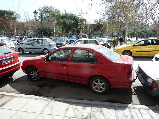 P1010078.jpg