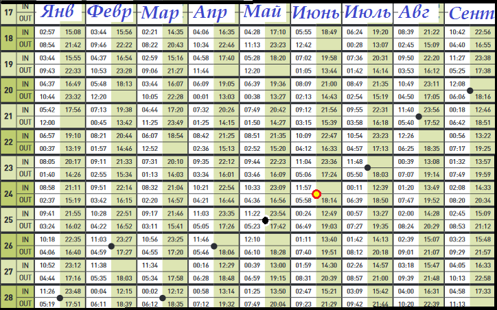 4.1 Акривность Сальстраумена.png