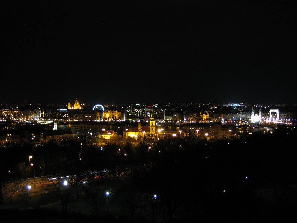 IMG_3737.JPG