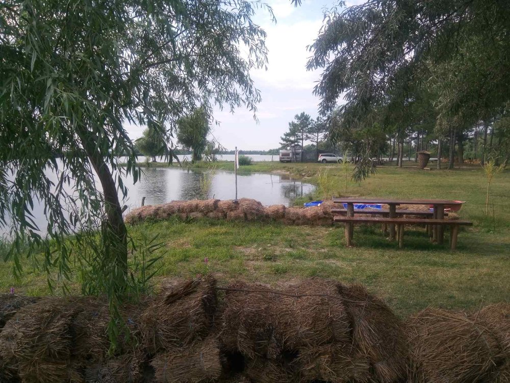 изображение_viber_2020-07-27_09-08-09.jpg