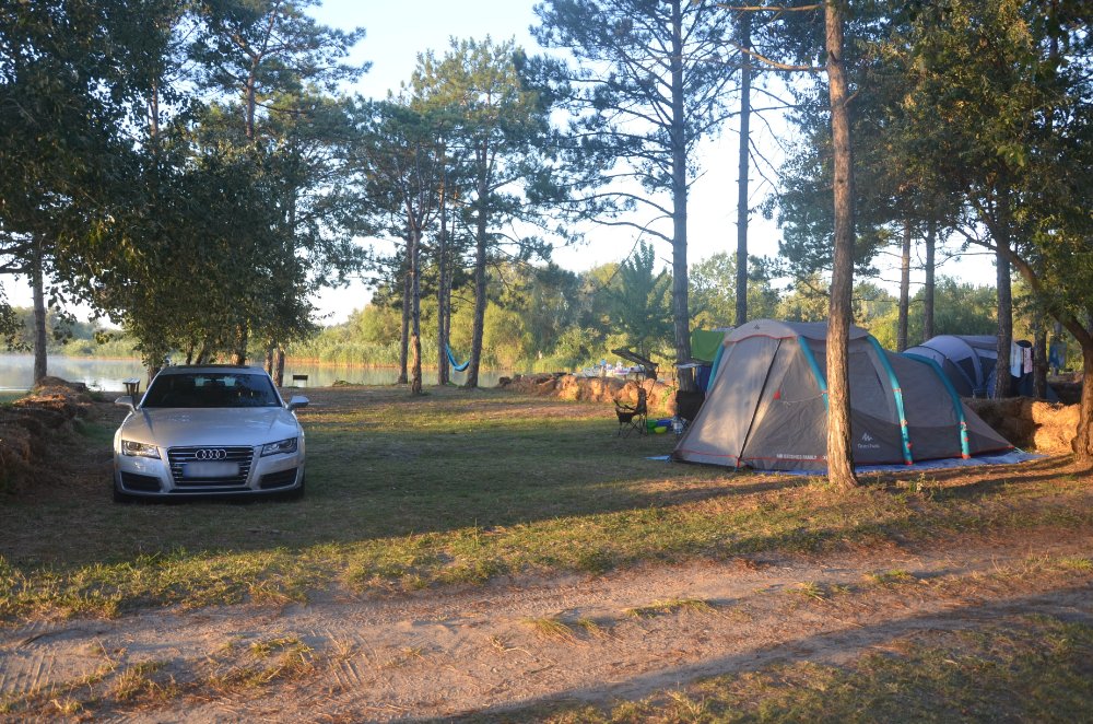 DSC_01411.JPG