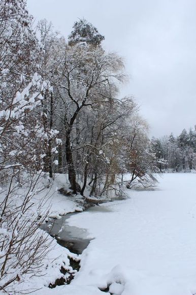 IMG_8496.JPG