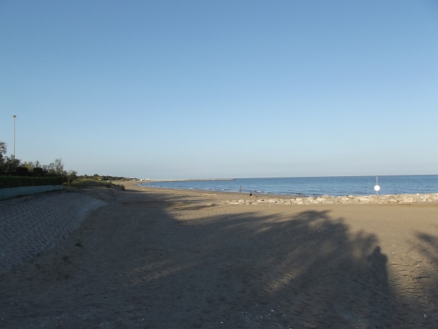 DSCF1249.1.jpg