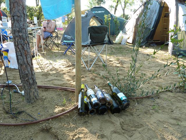 P1030546.JPG