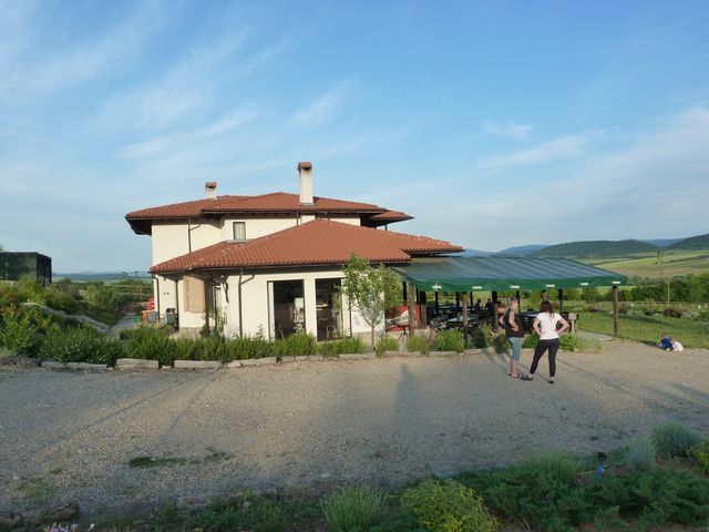 P1030746.JPG