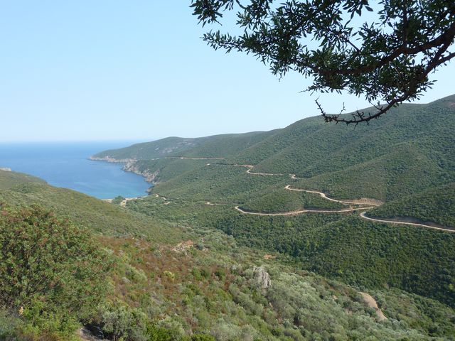 P1010731.JPG